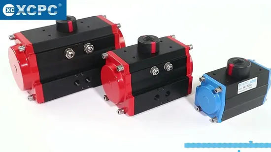 OEM Pneumatic Manufacturer Pneumatic Actuator